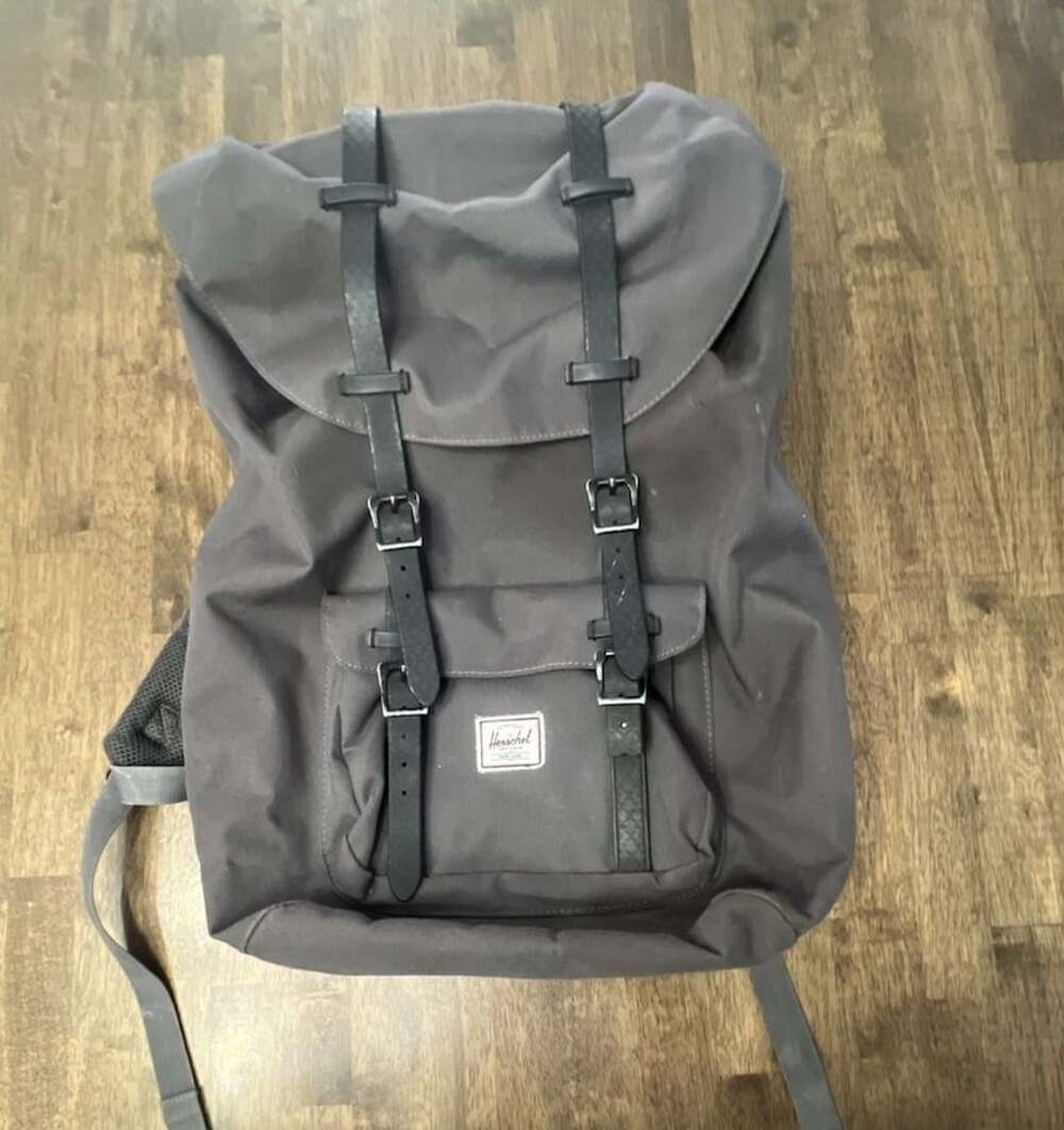 Herschel Little America Backpack Gray